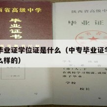 中专毕业证学位证是什么（中专毕业证学位证是什么样的）