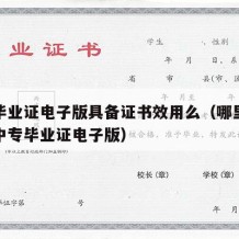 中专毕业证电子版具备证书效用么（哪里可以查到中专毕业证电子版）