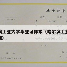 哈尔滨工业大学毕业证样本（哈尔滨工业大学毕业照）