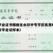 中专毕业证书模板无水印中专学历有用吗（普通中专毕业证样本）