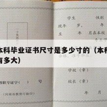 大学本科毕业证书尺寸是多少寸的（本科毕业证书有多大）