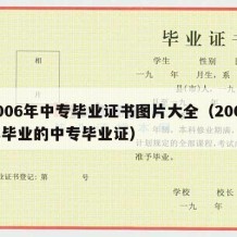 2006年中专毕业证书图片大全（2006年毕业的中专毕业证）