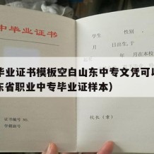 中专毕业证书模板空白山东中专文凭可以用吗（山东省职业中专毕业证样本）