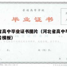 河北省高中毕业证书图片（河北省高中毕业证书图片模板）