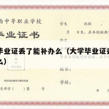 大学毕业证丢了能补办么（大学毕业证丢了能补办么）