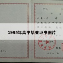 1995年高中毕业证书图片