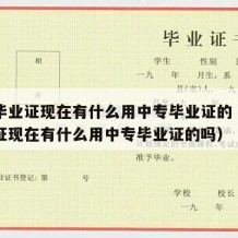 中专毕业证现在有什么用中专毕业证的（中专毕业证现在有什么用中专毕业证的吗）