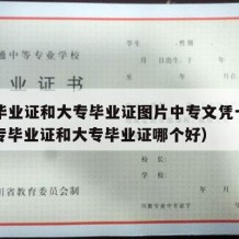 中专毕业证和大专毕业证图片中专文凭一样吗（中专毕业证和大专毕业证哪个好）