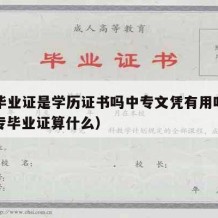 中专毕业证是学历证书吗中专文凭有用吗知乎（中专毕业证算什么）