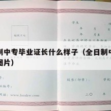 全日制中专毕业证长什么样子（全日制中专毕业证图片）