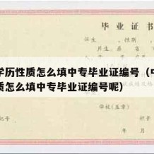 中专学历性质怎么填中专毕业证编号（中专学历性质怎么填中专毕业证编号呢）