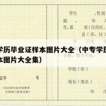 中专学历毕业证样本图片大全（中专学历毕业证样本图片大全集）