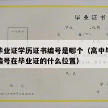 高中毕业证学历证书编号是哪个（高中毕业证证书编号在毕业证的什么位置）