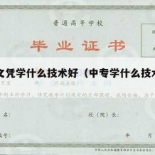 中专文凭学什么技术好（中专学什么技术好找工作）