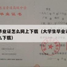 大学毕业证怎么网上下载（大学生毕业证电子版怎么下载）