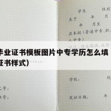 中专毕业证书模板图片中专学历怎么填（中专毕业证书样式）