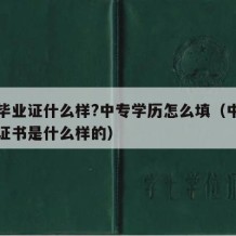 中专毕业证什么样?中专学历怎么填（中专的毕业证书是什么样的）