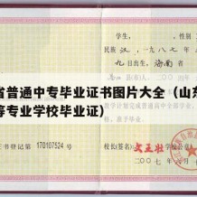 山东省普通中专毕业证书图片大全（山东省普通中等专业学校毕业证）