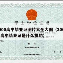 2000高中毕业证图片大全大图（2000的高中毕业证是什么样的）