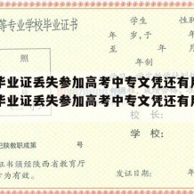 中专毕业证丢失参加高考中专文凭还有用吗（中专毕业证丢失参加高考中专文凭还有用吗知乎）