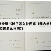 大学毕业证书掉了怎么补回来（我大学毕业证掉了,应该怎么补回?）