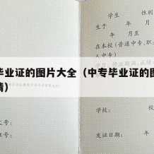 中专毕业证的图片大全（中专毕业证的图片大全高清）