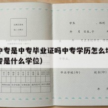 职业中专是中专毕业证吗中专学历怎么填（职业中专是什么学位）