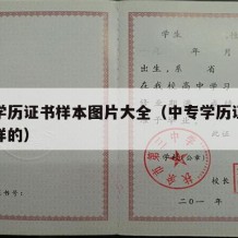 中专学历证书样本图片大全（中专学历证明是什么样的）