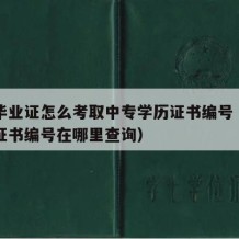 中专毕业证怎么考取中专学历证书编号（中专毕业证书编号在哪里查询）