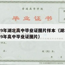 1999年湖北高中毕业证图片样本（湖北省1999年高中毕业证图片）