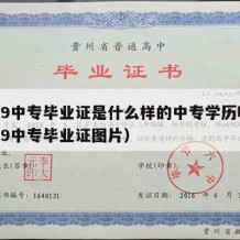 2009中专毕业证是什么样的中专学历呢（2009中专毕业证图片）