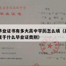 高中毕业证书有多大高中学历怎么填（高中毕业证属于什么毕业证类别）