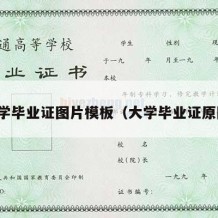 大学毕业证图片模板（大学毕业证原图）