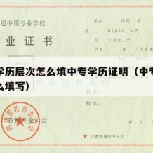 中专学历层次怎么填中专学历证明（中专的学历怎么填写）