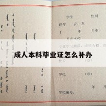 成人本科毕业证怎么补办