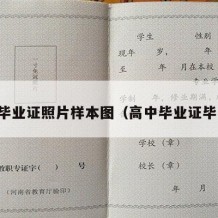 高中毕业证照片样本图（高中毕业证毕业照）