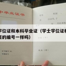 学士学位证和本科毕业证（学士学位证和本科毕业证的编号一样吗）