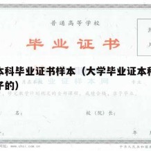 大学本科毕业证书样本（大学毕业证本科是什么样子的）