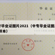 中专毕业证图片2021（中专毕业证图片高清 样本）