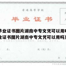 中专毕业证书图片湖南中专文凭可以用吗（中专毕业证书图片湖南中专文凭可以用吗）