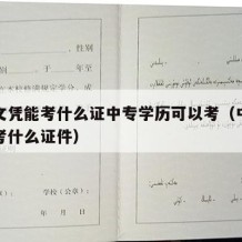 中专文凭能考什么证中专学历可以考（中专学历能考什么证件）