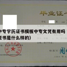 职业中专学历证书模板中专文凭有用吗（中专学历证书是什么样的）