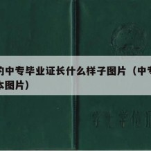 最新的中专毕业证长什么样子图片（中专毕业证样本图片）