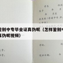 怎样鉴别中专毕业证真伪呢（怎样鉴别中专毕业证真伪呢视频）