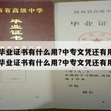 中专毕业证书有什么用?中专文凭还有用吗（中专毕业证书有什么用?中专文凭还有用吗）