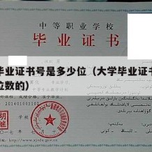 大学毕业证书号是多少位（大学毕业证书号是多少位数的）