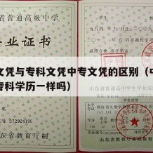 中专文凭与专科文凭中专文凭的区别（中专学历和专科学历一样吗）