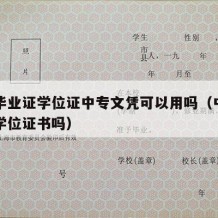 中专毕业证学位证中专文凭可以用吗（中专毕业有学位证书吗）