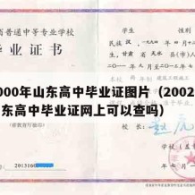 2000年山东高中毕业证图片（2002年山东高中毕业证网上可以查吗）