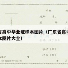 广东省高中毕业证样本图片（广东省高中毕业证样本图片大全）